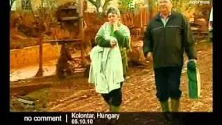 Toxic sludge in Hungary