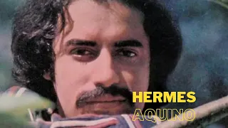 HERMES AQUINO - AS MELHORES DOS ANOS 70