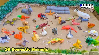 30 Domestic Animals Fun Learning Adventure | Muddy Sandbox Cleanup Story for Kids