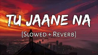 Tu Jaane Na | Slowed+Reverb |  Atif Aslam | Love lofi 🎶