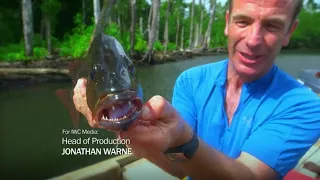 Robson Green Extreme Fisherman S1 Ep3 (Solomon Islands) Sum-up