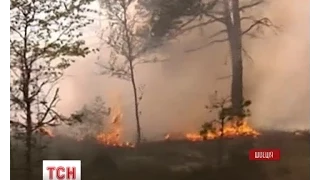 У Швеції оголосили надзвичайний стан