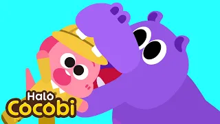 Paruh dan Mulut | Lagu Binatang Untuk Anak Anak | Kids Songs | Halo Cocobi Bahasa Indonesia