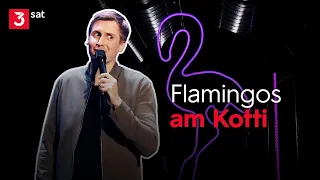 Till Reiners: Flamingos am Kotti