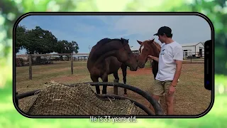 Horse Feathers Equine Center -Gutherie, OK