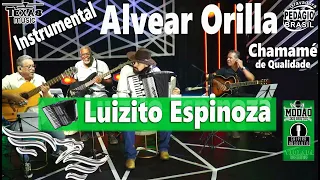 Alvear Orilla - LUIZITO ESPINOZA (Instrumental no Estúdio)