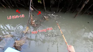 Xiệt Những Bầy Cá Khủng Trong Hốc Cây Ngay Lễ 30/4-1/5 | Kích Cá Miền Tay | Catch Fish