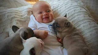 Dogs Babysitting Babies 👶🐶 Dogs Love Babies (Full) [Funny Pets]