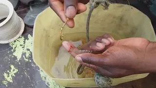 Como pescar com camarão vivo ou morto:Aprenda a forma correta!