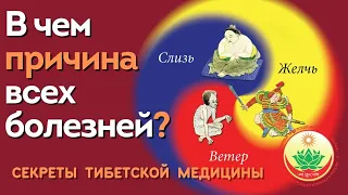 В ЧЕМ КРОЕТСЯ ГЛАВНАЯ ПРИЧИНА ВСЕХ ЗАБОЛЕВАНИЙ?Секреты тибетской медицины.