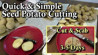 Potato Planting Time! - How to Cut & Scab Your Potatoes for More Potatoes to Plant in Your Garden