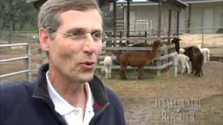 Hill Country Alpacas (Texas Country Reporter)