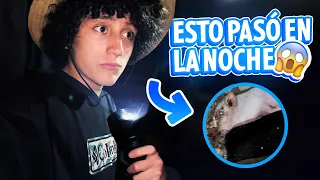 Rutina de la noche...me asustan en los corrales!😱 | La Granja del Borrego