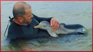 Animals That Asked People for Help & Kindness That Restored Faith in Humanity !