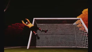 Sims 4 (M) Soccer Animation