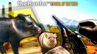 4 DIAMOND JAVELINA? and a LEUCISTIC PECCARY! | theHunter Call of the Wild