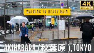 [4Khdr]  Rainy Day Walk Tour in Akihabara (秋葉原 ),Tokyo | Ambience Sound ASMR | Japan Travel Guide