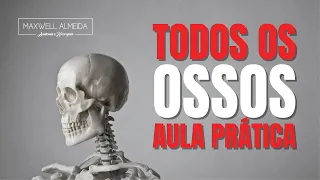 Explicação rápida de TODOS os OSSOS do corpo humano | AULA PRÁTICA no Anatômico