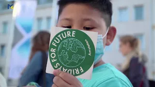 Fridays for Future Amstetten - Klimademo