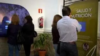 Video promocional "Olivar y Aceite Comarca la Loma"