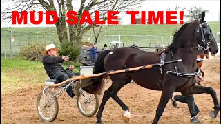 AMISH LAND MUD SALE- 2024 RAWLINSVILLE Volunteer Fire Company Mud Sale Lancaster County, PA