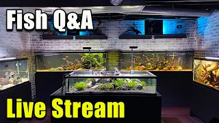 [LIVE]  A Giveaway and Fish Q&A!