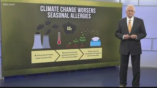 SC's weatherman Jim Gandy talks pollen season