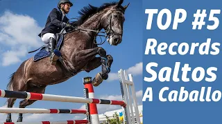 Récords mundiales de salto en alto a caballo. Top#5 Salto de Potencia a caballo.