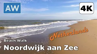 [4K] Scenic Morning Walk to the Beautiful Beach of Noordwijk aan Zee, Netherlands