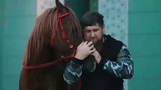 Ramadan Kadyrov's Beautiful Video