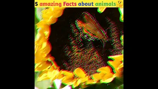 5 Amazing and Interesting Facts about Animals #shorts #facts #shortvideo #short #india