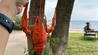 Турция 🇹🇷 2023/ Дневной дожор/ сочные раки в Кемере 🦞🦞