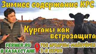 Клеточное содержание Ангусов. Стойла где? Кормушки не нужны? Поение коров зимой. Выпас в минус 40