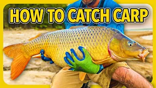 How to catch carp the easy way. CHEAP and SIMPLE carp fishing tips