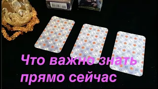 Что важно знать прямо сейчас🌹Гадание на Таро он-лайн Fortune-telling@TianaTarot