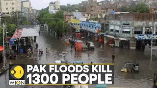 WION Climate Tracker | Pakistan: Disaster to cost $10 billion, displaced people make a plea for help