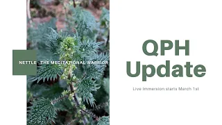 'Nettle - The Meditational Warrior - QPH update and Live Immersion starts March 1st -