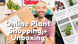 Online Plant Shopping & Unboxing From Stupid Egg