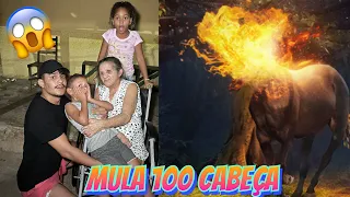 MULA 100 CABEÇA 😱