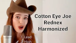 Cotton eye Joe - Rednex || Harmonized • Miekes Voice