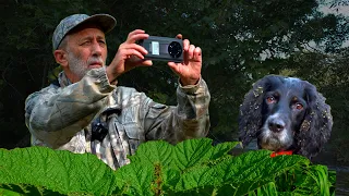 Three days in the Primorsky Ussuri Taiga. Fishing Zamanikha. Mushrooms, nuts and berries.