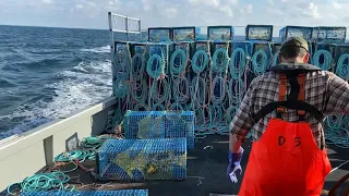 Dumping Day 2019- Lobster Fishing in Nova Scotia