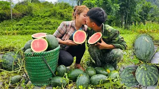 Harvesting super big watermelon - The most delicious traditional grilled fish dish I've ever made