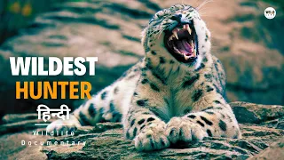 Wildest Hunter 2 - हिन्दी डॉक्यूमेंट्री | Wildlife documentary in Hindi