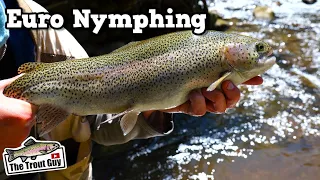 My First Time Euro Nymphing | Fly Fishing Tennessee