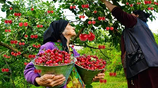 MIX OF FRUIT JUICES AND JAMS | CHERRY, PEAR, MELON, CORNEL