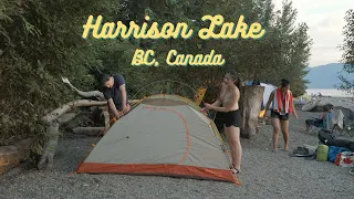 Peaceful Overnight Beach Camping at Harrison Lake | BC, Canada