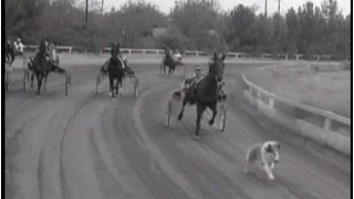 Lassie - Episode #187 - "The Sulky Race" - Season 6 Ep. 5 - 10/04/1959