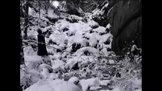 MITTWINTER - Inverno Sogno (Rare Dungeon Synth full video)