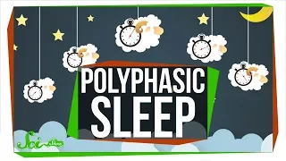 What Do Scientists Really Know About Polyphasic Sleep?